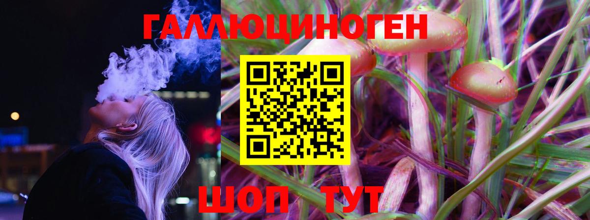 Псилоцибиновые грибы Psilocybe  Вход с VPN  Жигулёвск 