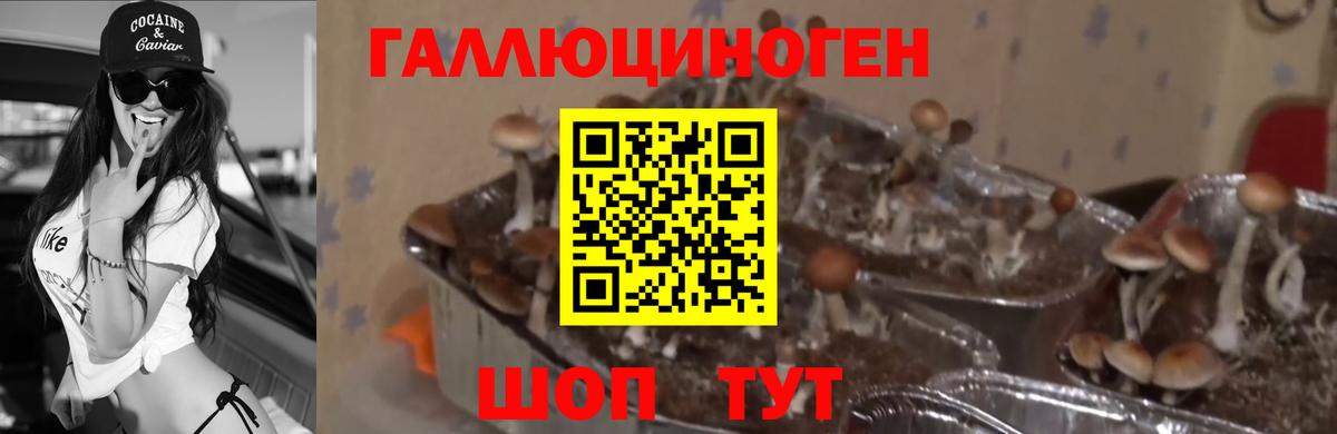 Псилоцибиновые грибы MAGIC MUSHROOMS Жигулёвск